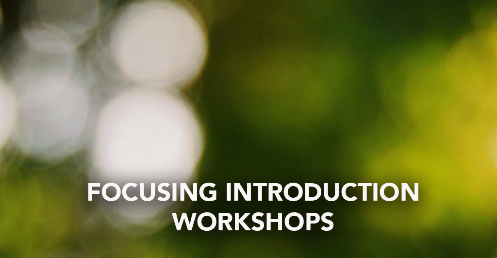 Focusing Introductions